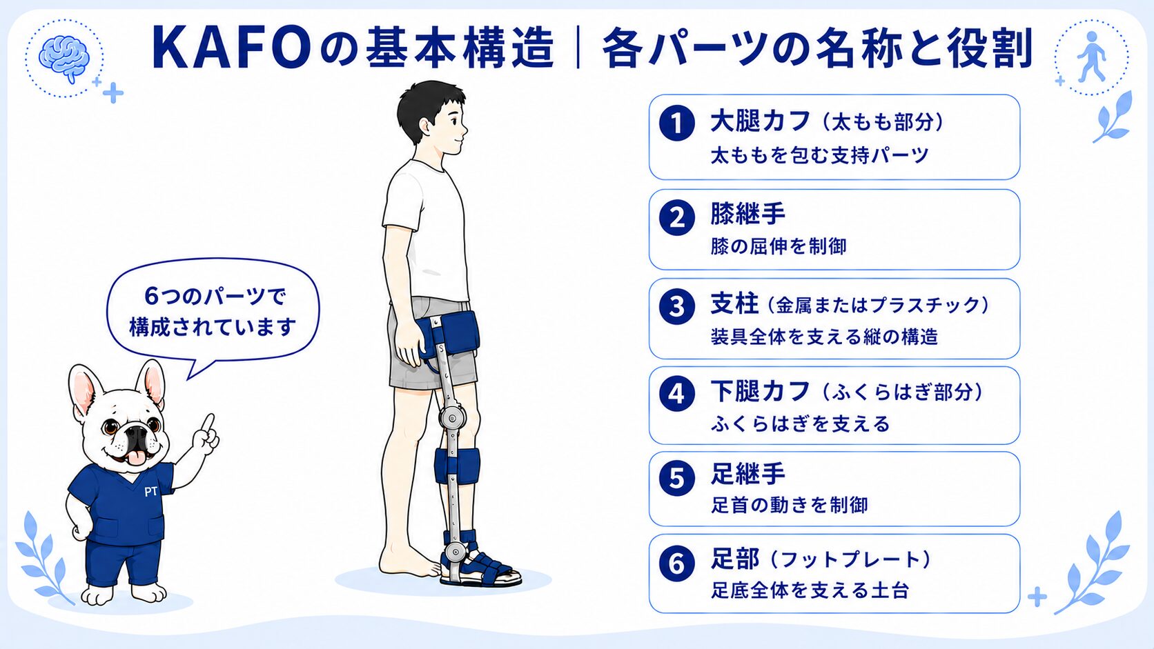 KAFOの基本構造（大腿カフ・膝継手・支柱・下腿カフ・足継手・足部の6パーツ）