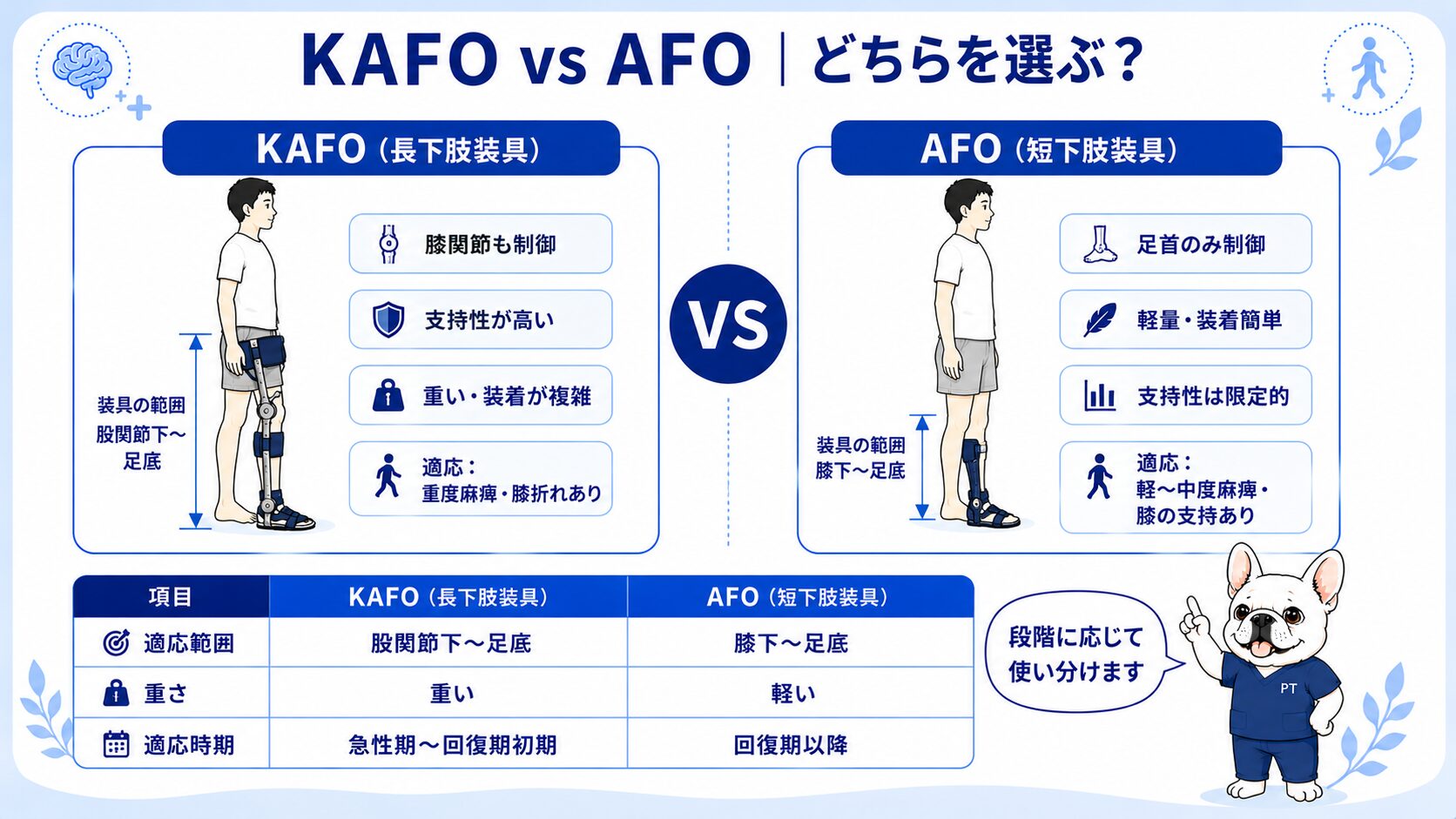 KAFO（長下肢装具）とAFO（短下肢装具）の比較図
