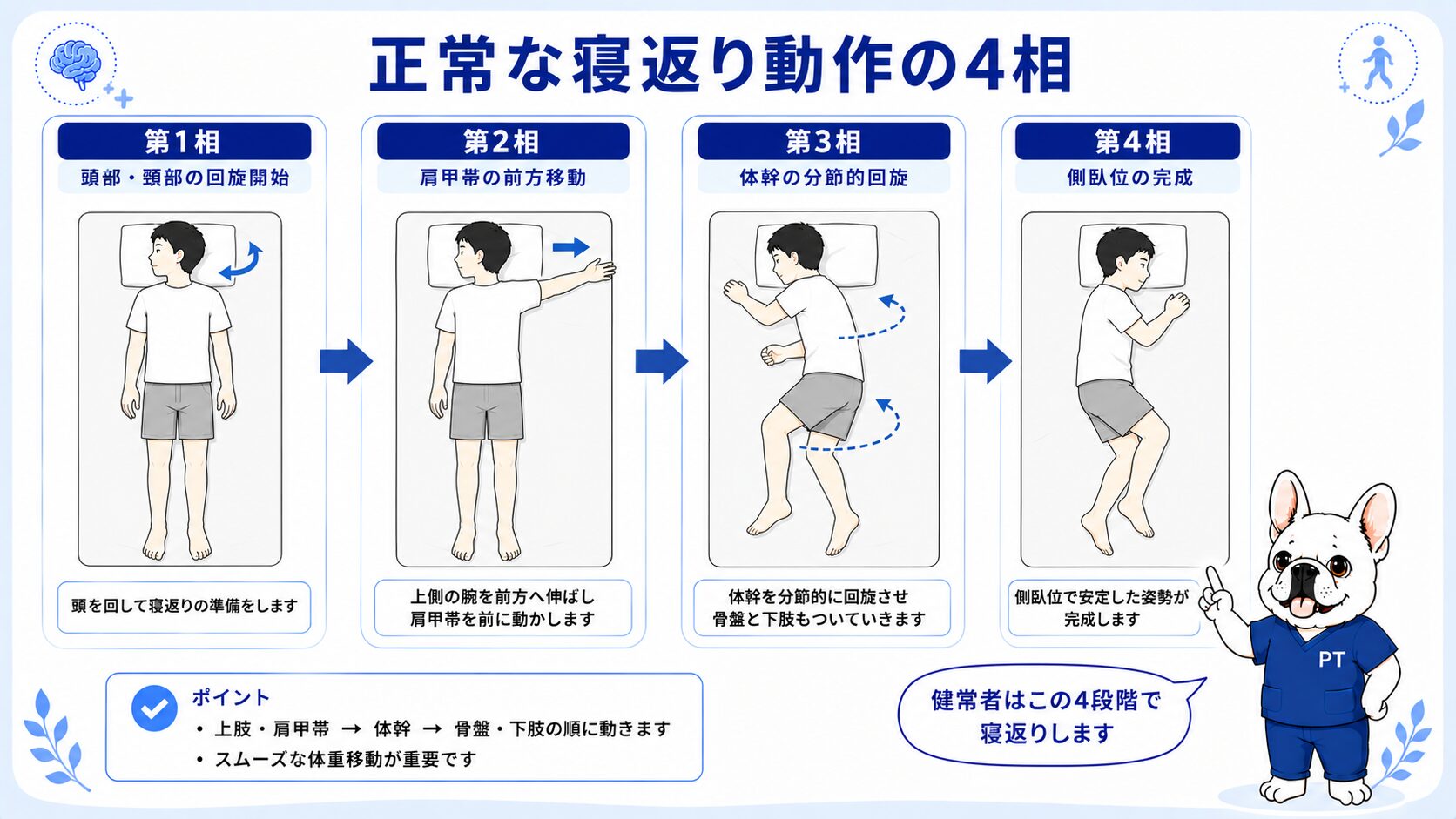正常な寝返り動作の4相（仰臥位→頭部回旋→体幹分節的回旋→側臥位）