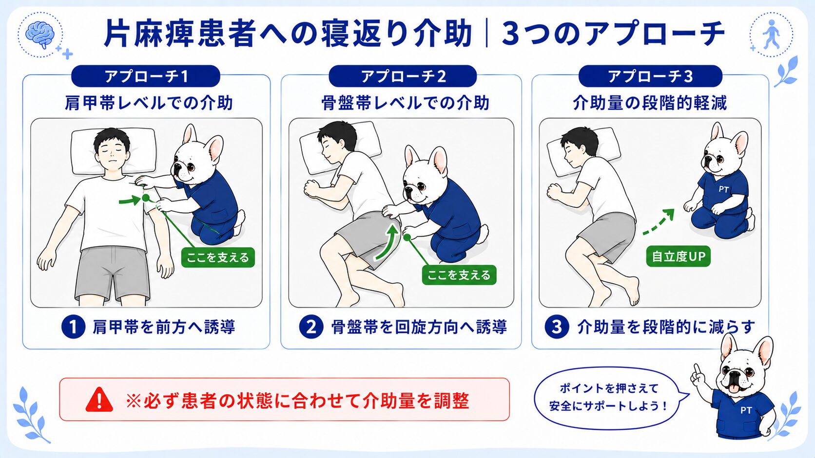 片麻痺患者への寝返り介助の3つのアプローチ（肩甲帯→骨盤帯→段階的軽減）