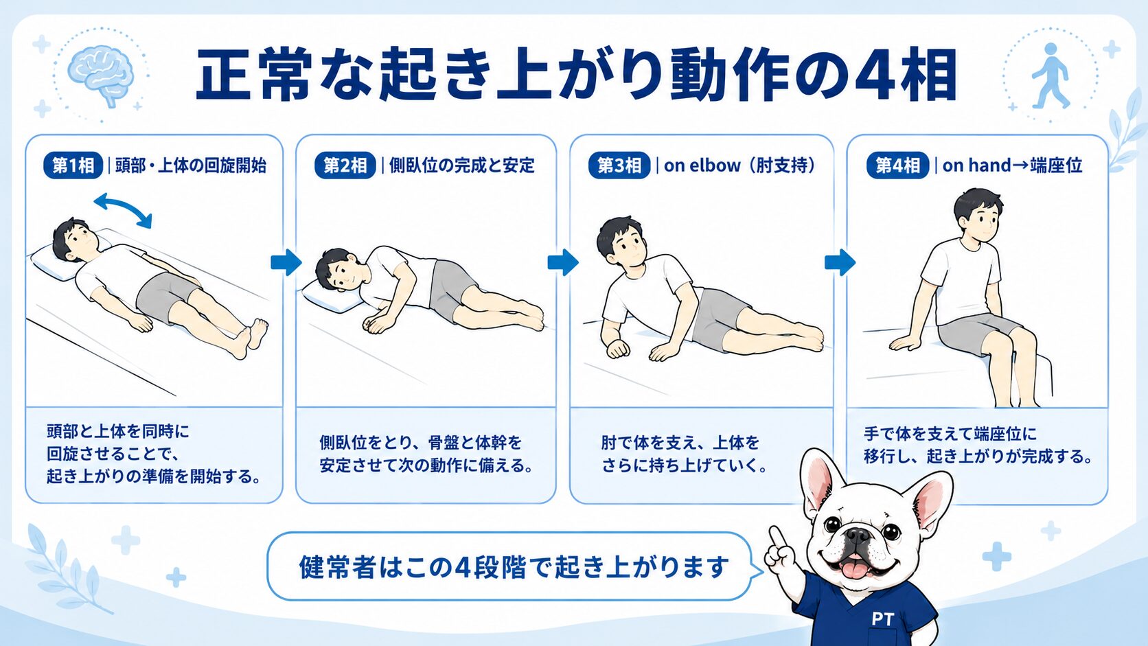 正常な起き上がり動作の4相(仰臥位→側臥位→on elbow→端座位)