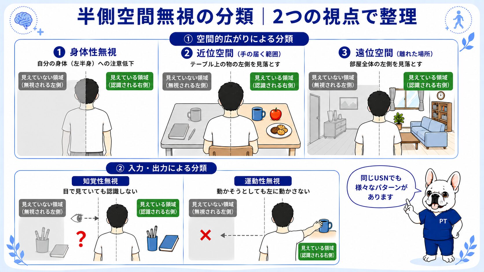 半側空間無視の分類(空間的広がり:身体性・近位・遠位/入出力:知覚性・運動性)
