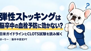 弾性ストッキングを見つめる理学療法士の犬